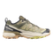 Aloe/Slate Green/Endive