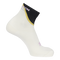 Vanilla Ice